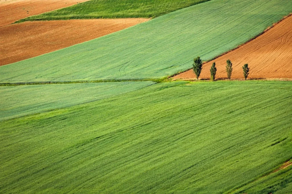 Smart agriculture: how satellite IoT is transforming agriculture