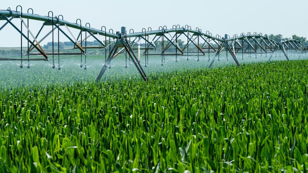 Goodbye drought: Smart agriculture with Apogeo's Satellite IoT
